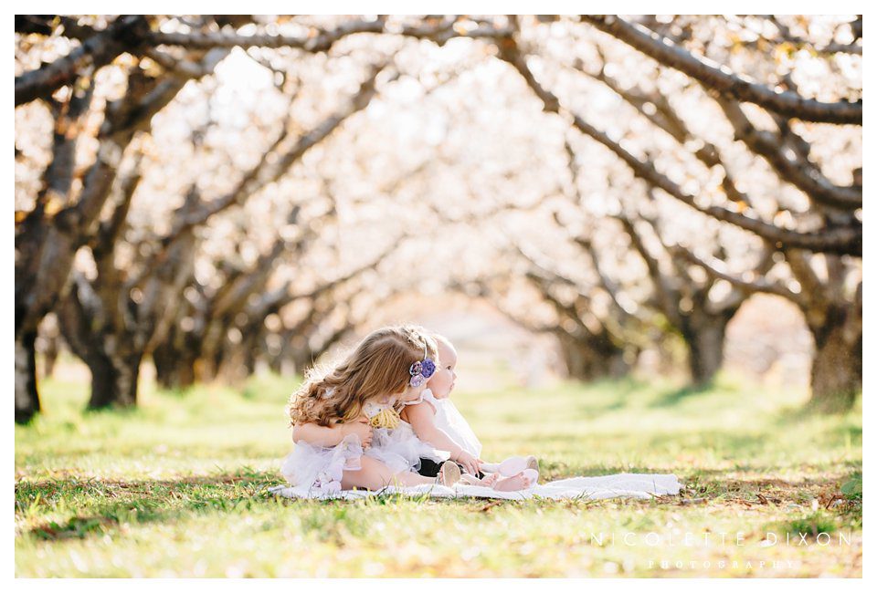 Moon Township Baby Photographer