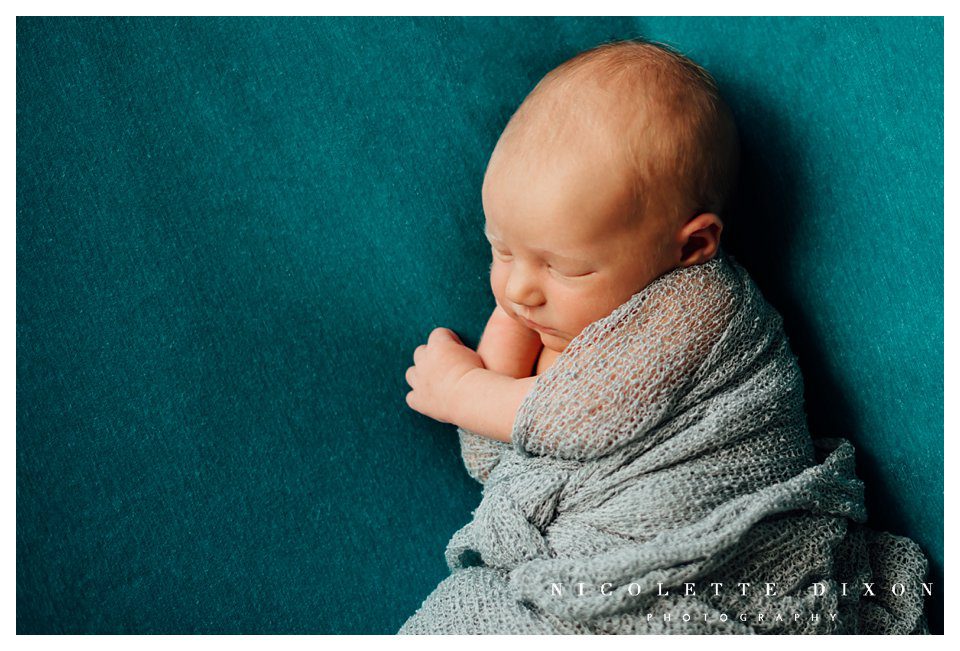 Pittsburgh PA Newborn Photographer Pittsburgh PA Newborn Photographer