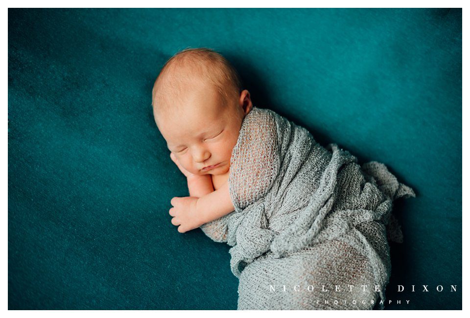 Pittsburgh PA Newborn Photographer Pittsburgh PA Newborn Photographer