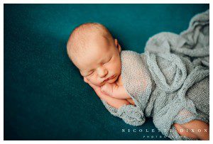 Pittsburgh Newborn Photographer