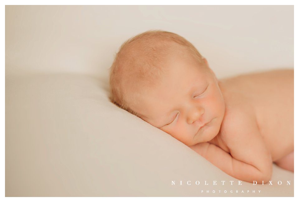 Pittsburgh PA Newborn Photographer Pittsburgh PA Newborn Photographer