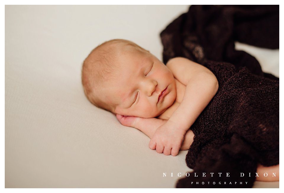 Pittsburgh PA Newborn Photographer Pittsburgh PA Newborn Photographer