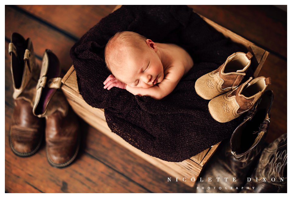 Pittsburgh PA Newborn Photographer Pittsburgh PA Newborn Photographer