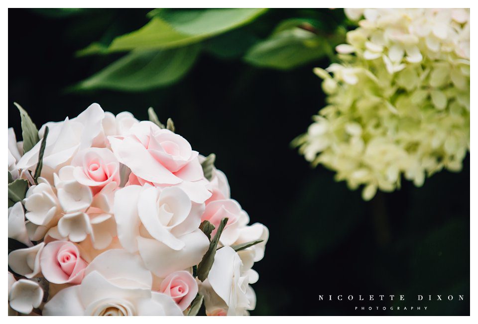 Pittsburgh photographer