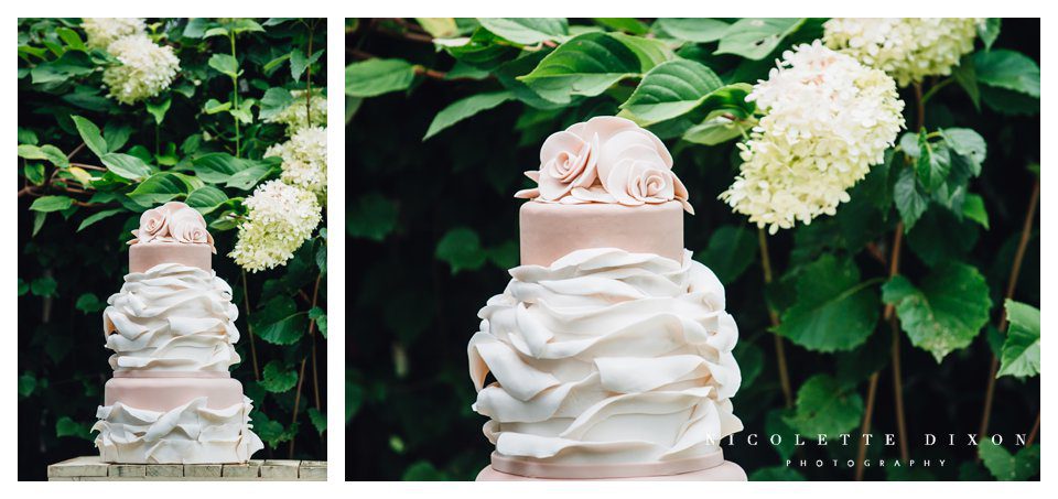 Pittsburgh photographer