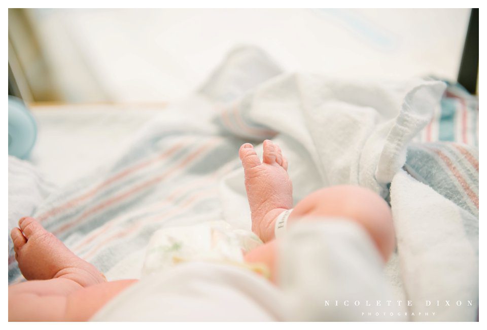 Moon Township Baby Photographer