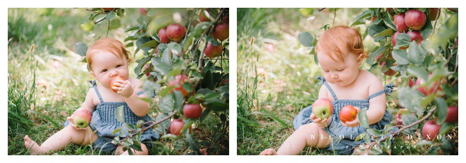 Moon Township family Photographer