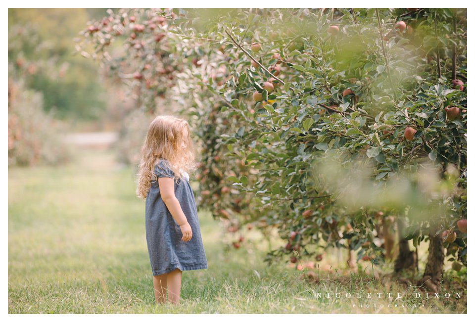 Moon Township family Photographer