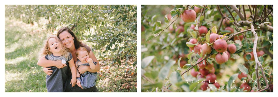 Moon Township family Photographer