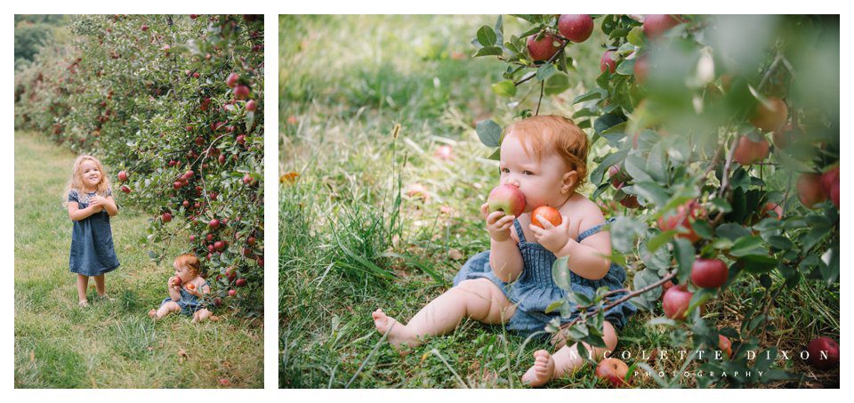 Moon Township family Photographer