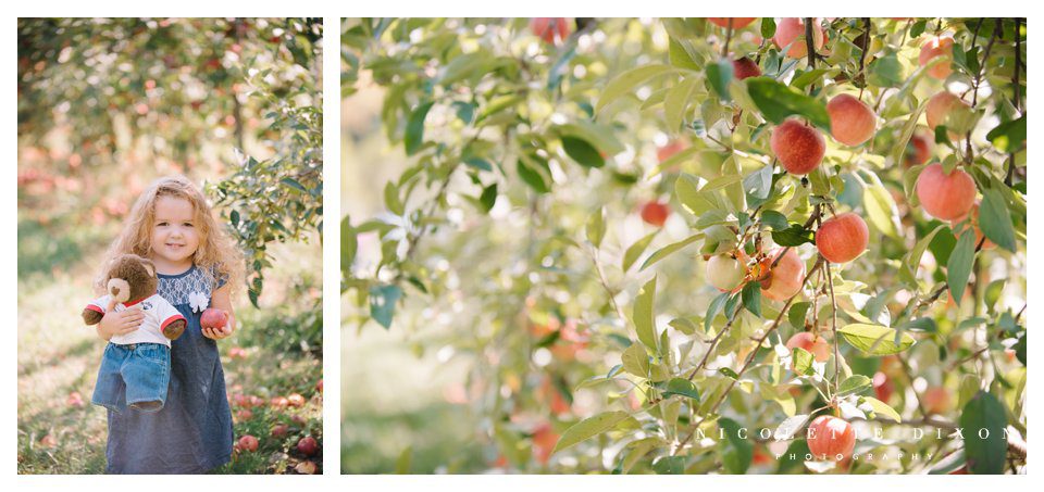 Moon Township family Photographer