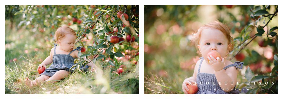 Moon Township family Photographer