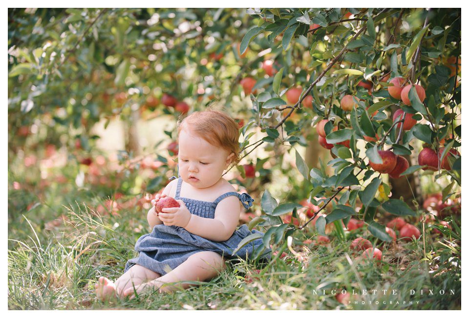 Moon Township family Photographer