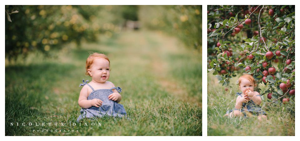 Moon Township family Photographer