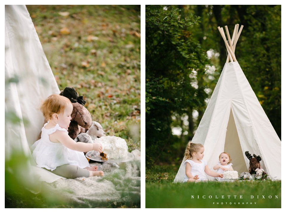 Moon Township baby Photographer