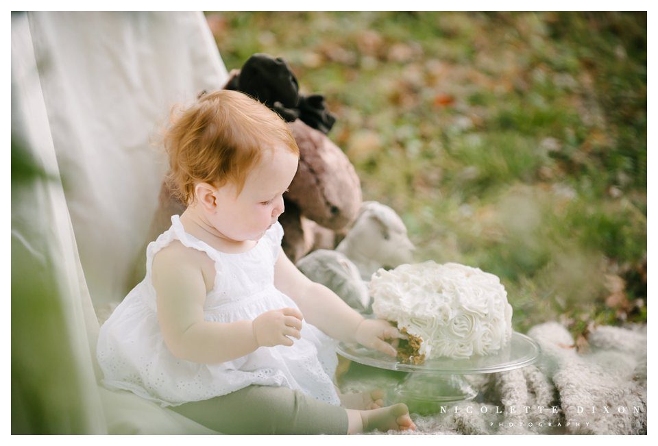 Moon Township baby Photographer