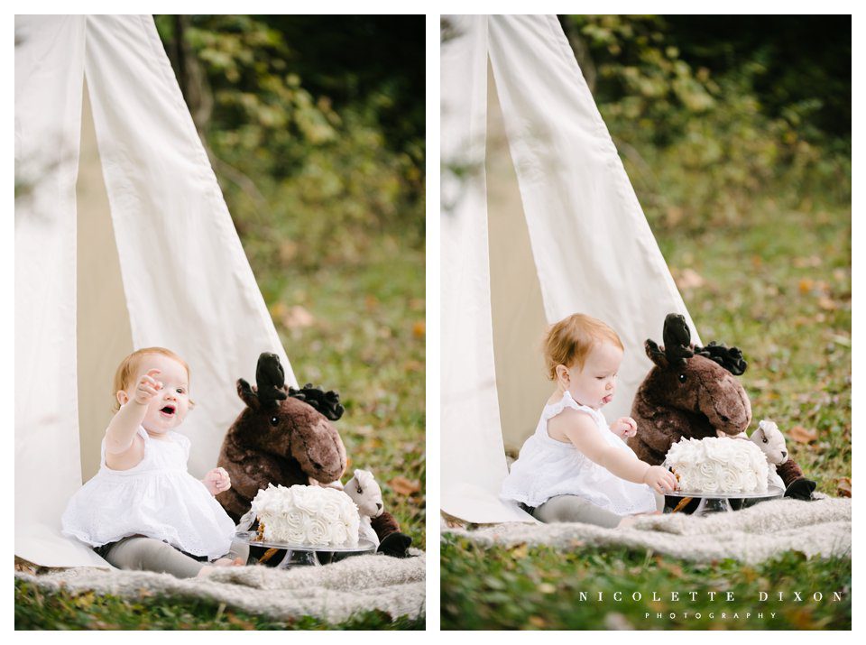 Moon Township baby Photographer