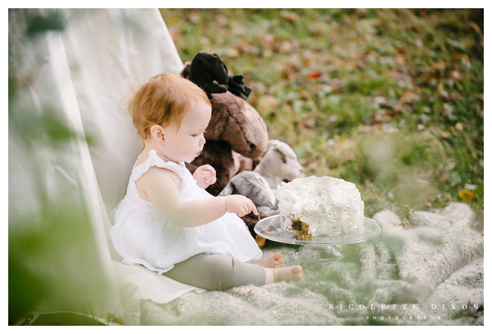Moon Township baby Photographer