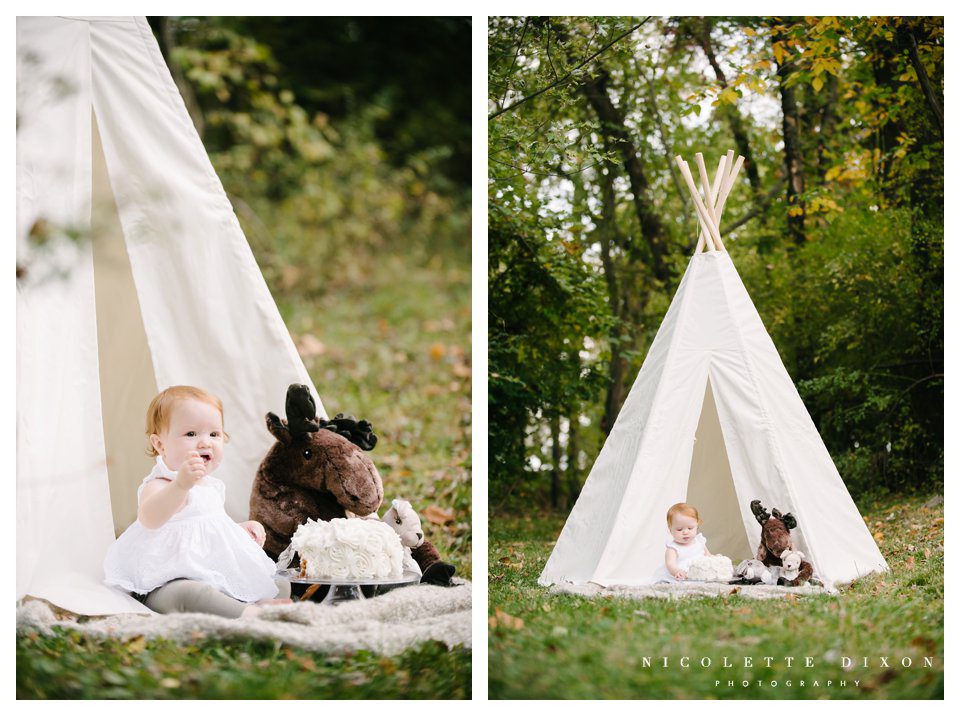 Moon Township baby Photographer