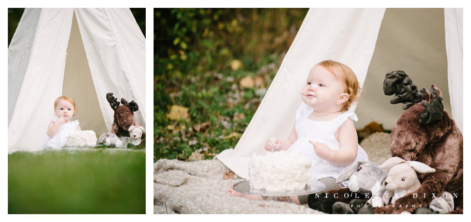 Moon Township baby Photographer