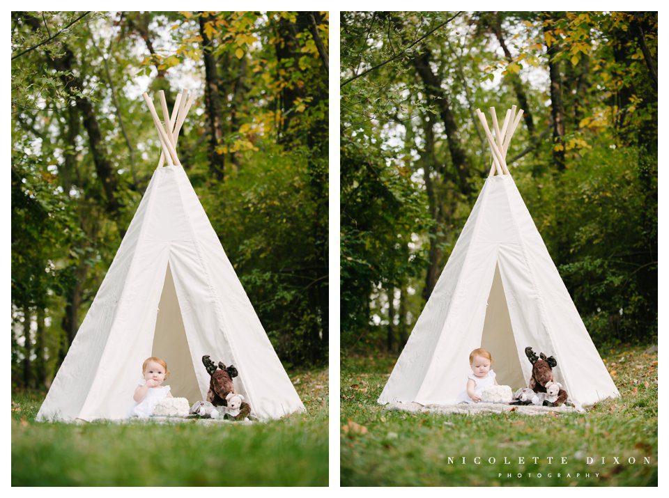 Moon Township baby Photographer