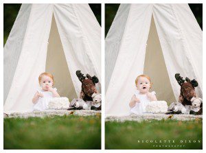 Moon Township baby Photographer
