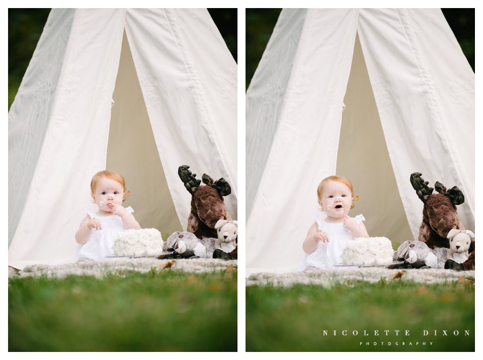 Moon Township baby Photographer