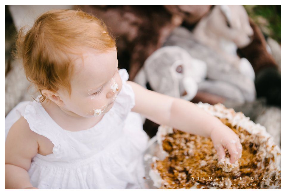 Moon Township baby Photographer