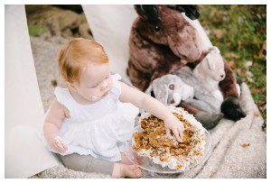Moon Township baby Photographer