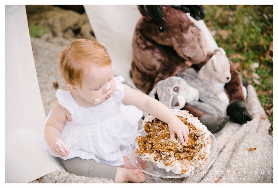 Moon Township baby Photographer