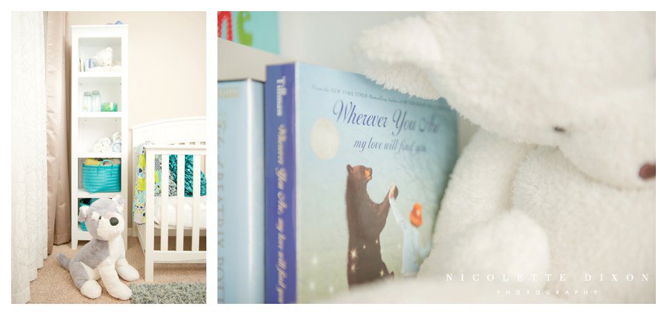 Sewickley newborn Photographer