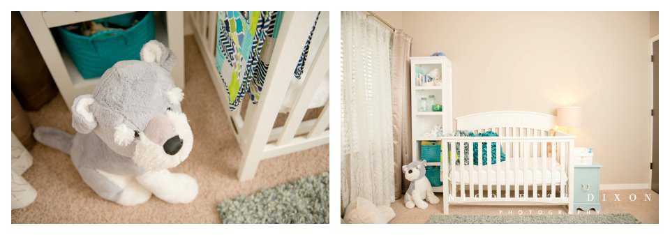 Sewickley newborn Photographer