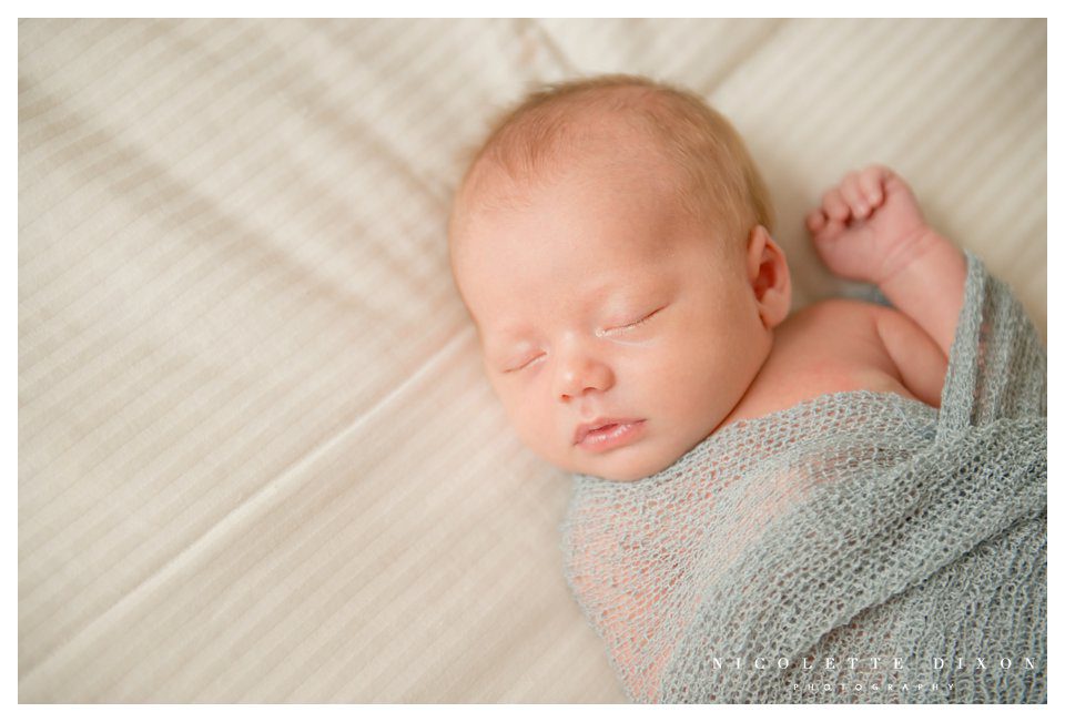 Sewickley newborn Photographer