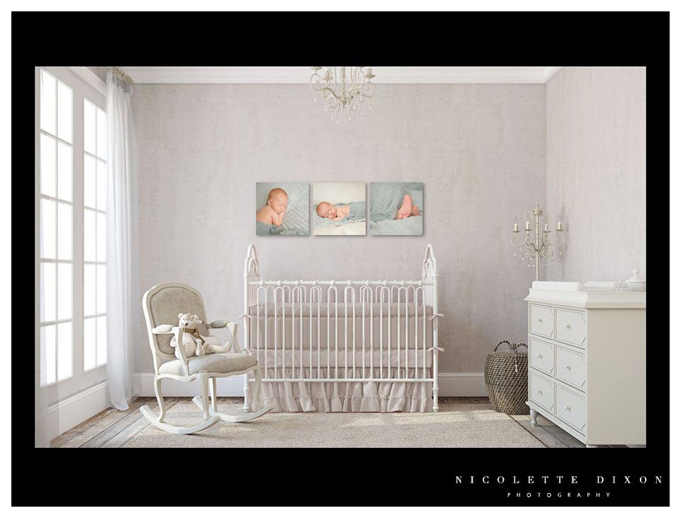 Sewickley newborn Photographer