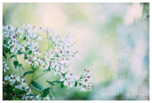 Pittsburgh High School Senior Photographer