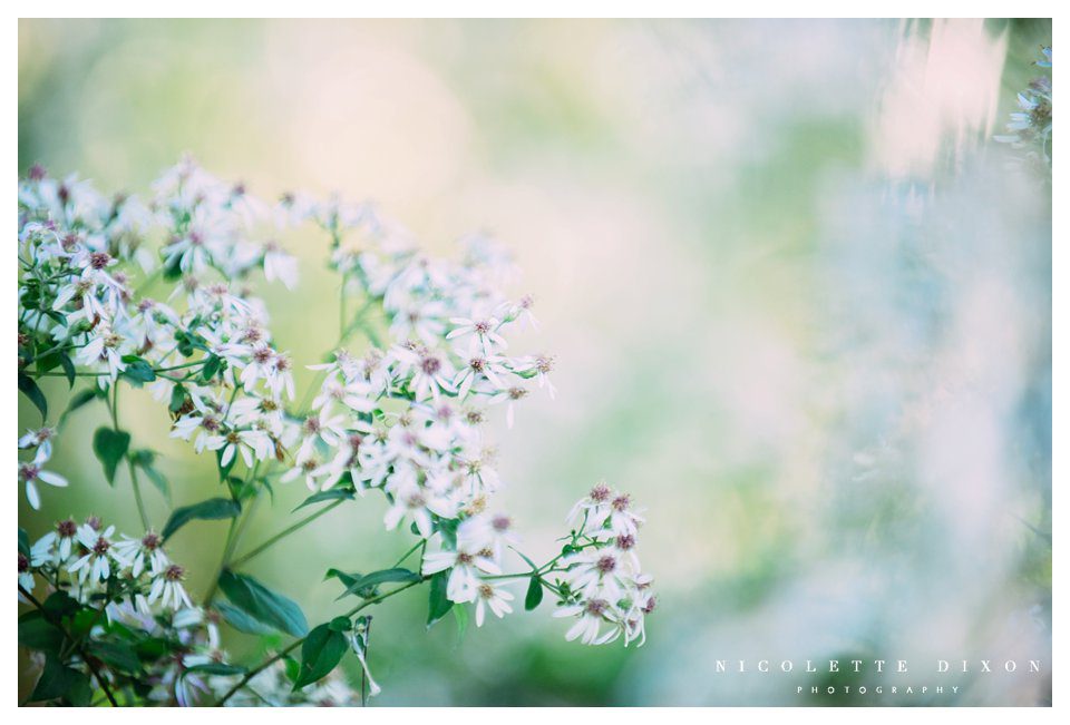 Pittsburgh High School Senior Photographer