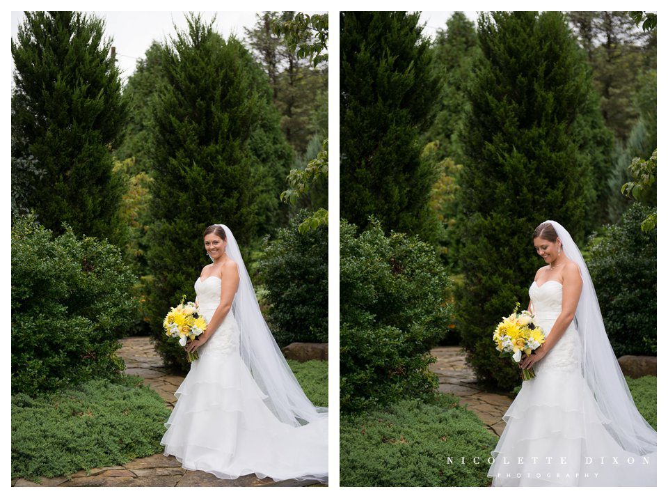 Pittsburgh Wedding Photographer
