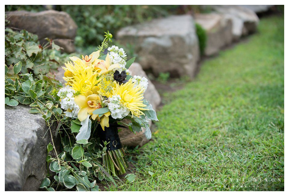 Pittsburgh Wedding Photographer