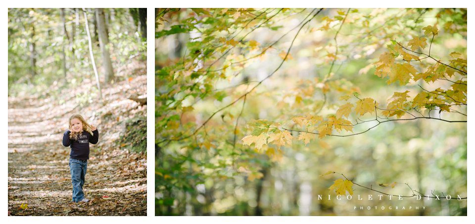 Pittsburgh Family Photographer Pittsburgh Family Photographer