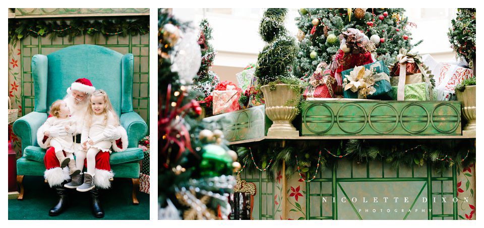 Sewickley Family Photographer