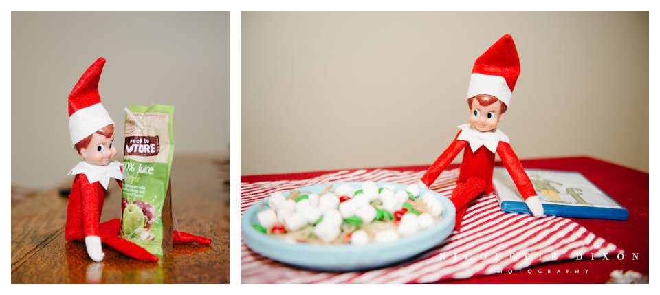 Sewickley Family Photographer