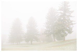 Sewickley Family Photographer
