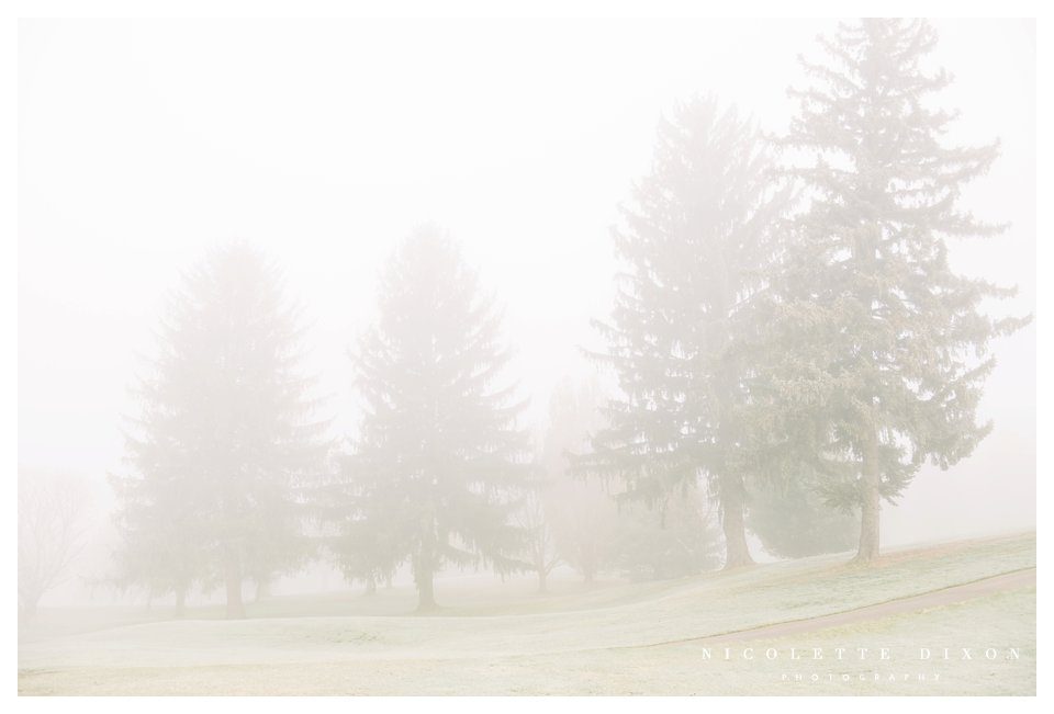 Sewickley Family Photographer