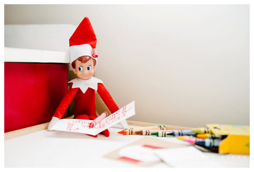 Sewickley Family Photographer