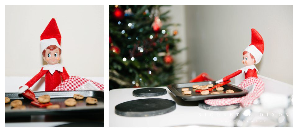 Sewickley Family Photographer