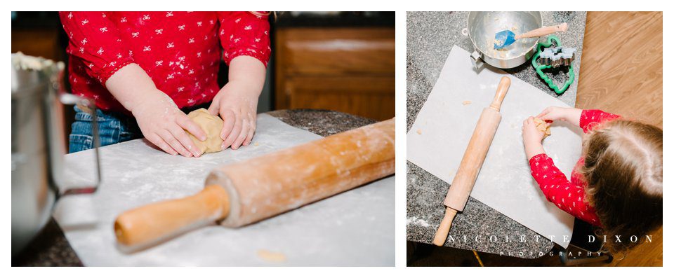 Sewickley Family Photographer