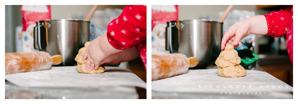 Sewickley Family Photographer