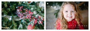 Sewickley Family Photographer