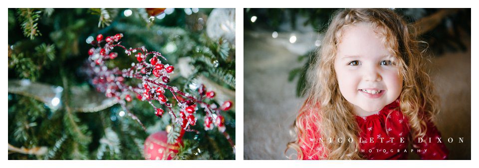 Sewickley Family Photographer