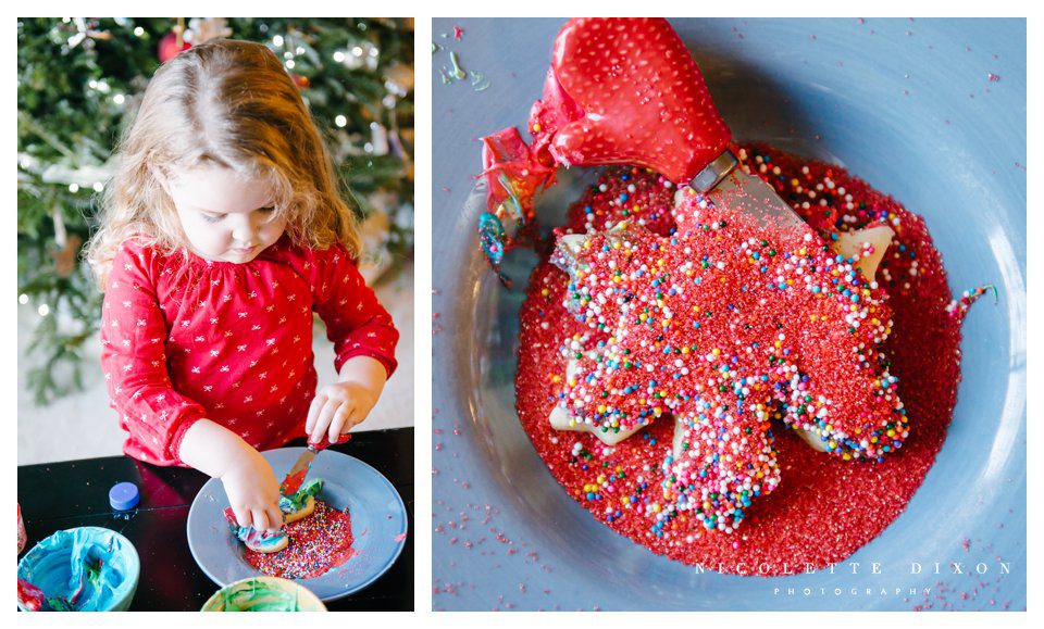 Sewickley Family Photographer